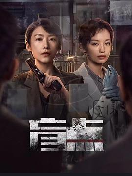 盲点第17集