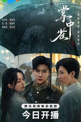 掌中雀第21集