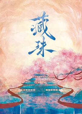 藏珠第23集