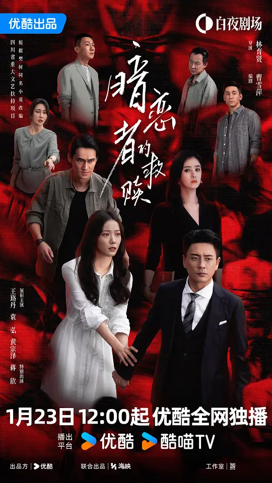 暗恋者的救赎第12集