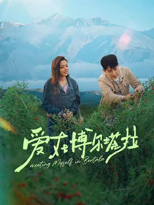 爱在博尔塔拉第11集